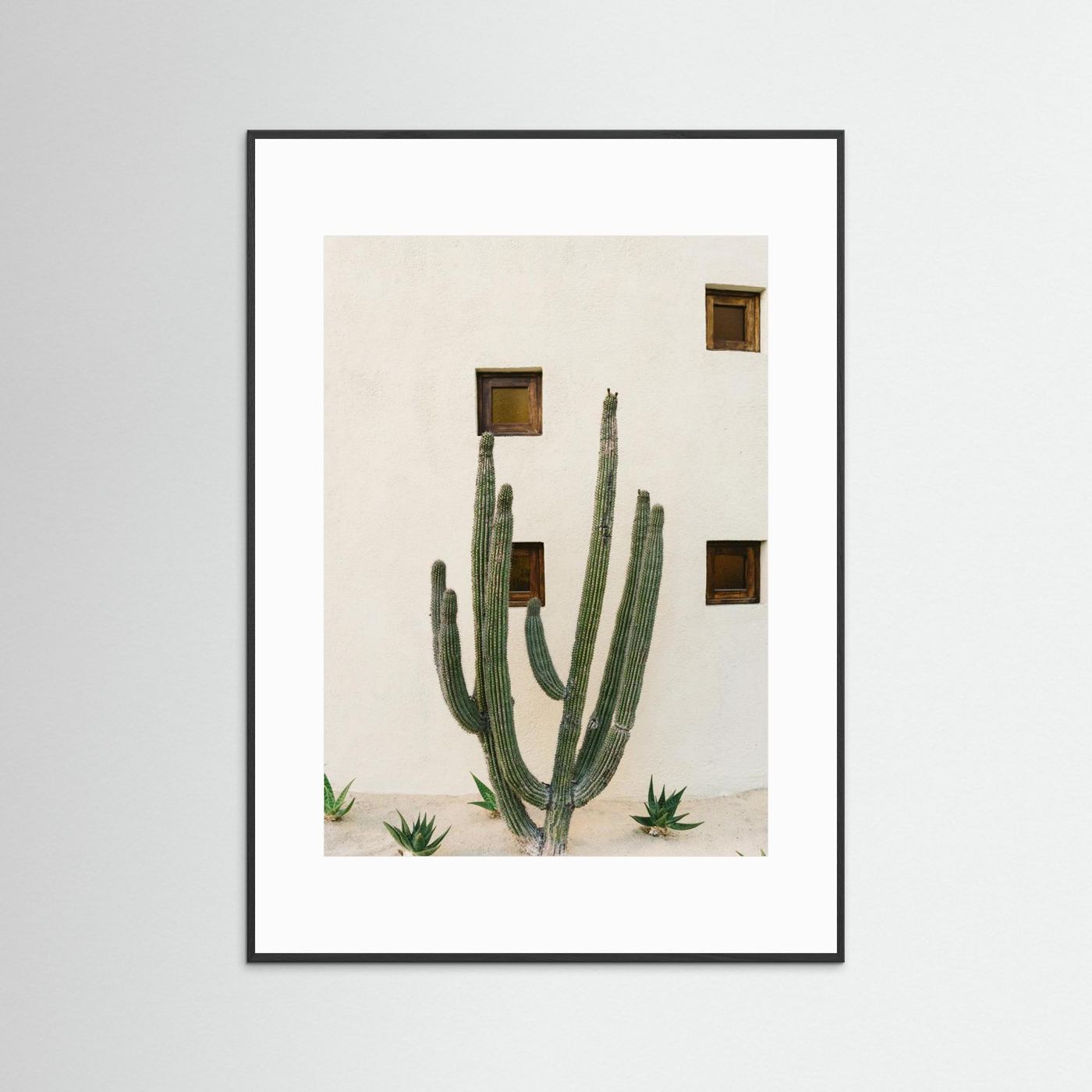 Cabo Cactus IX by Bethany Young