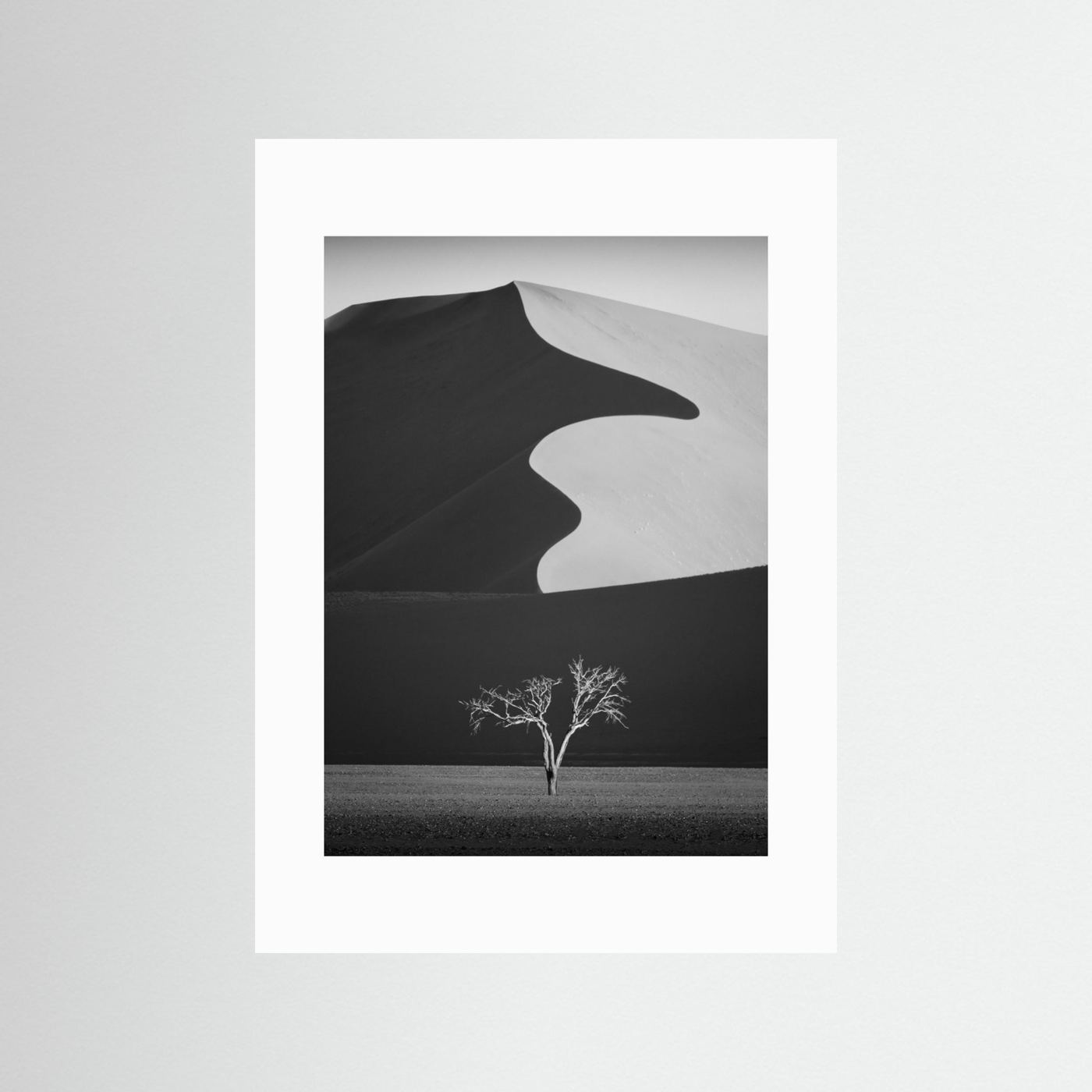 Light & shadow