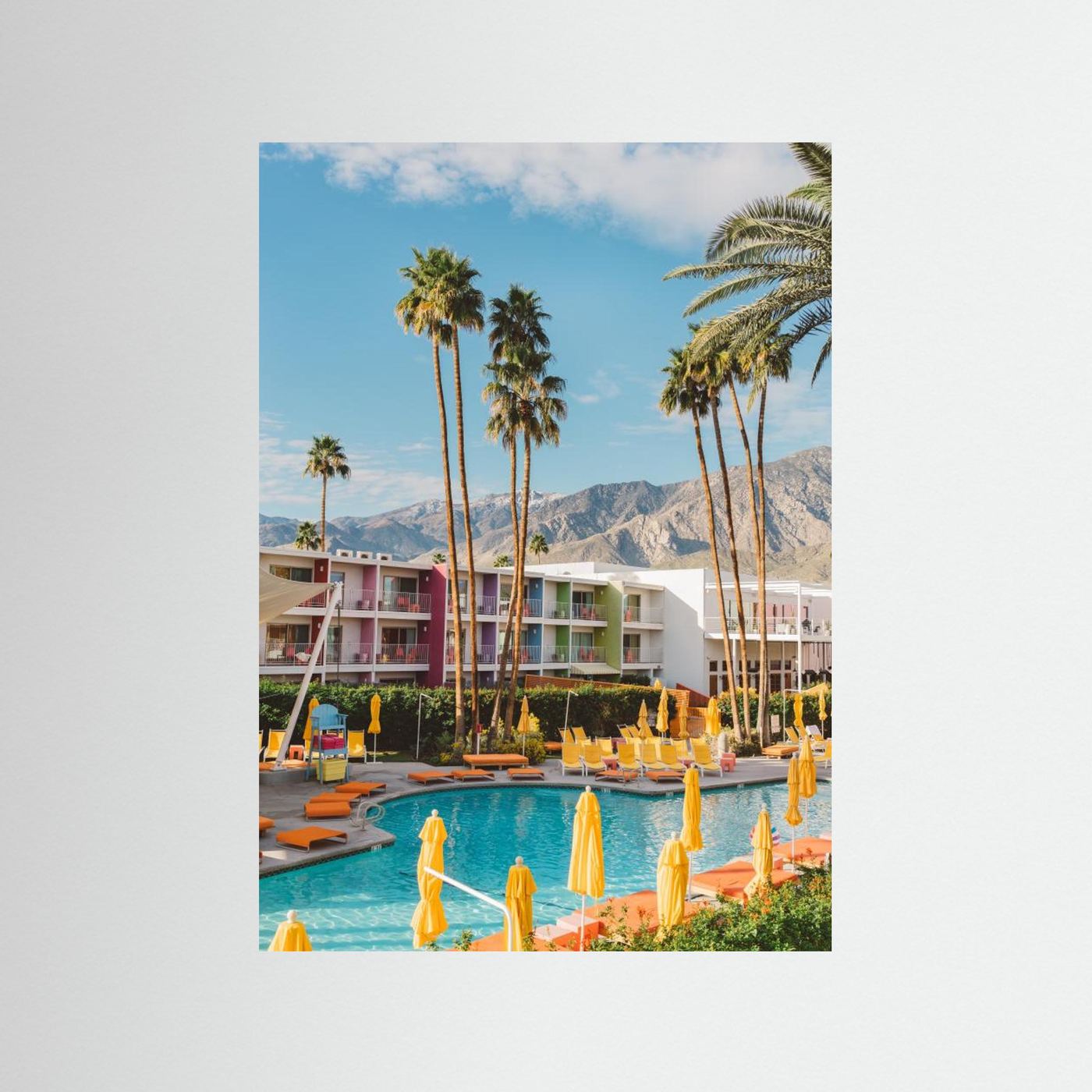 Palm Springs Saguaro by Bethany Young