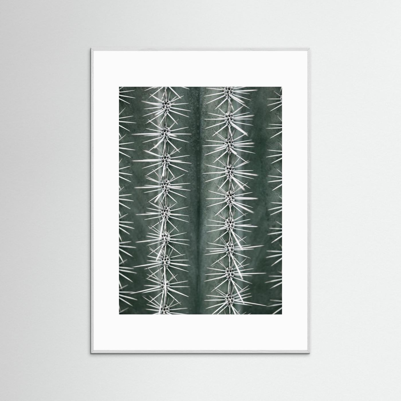Sharp Cactus Pattern by Pictufy Studio Iii