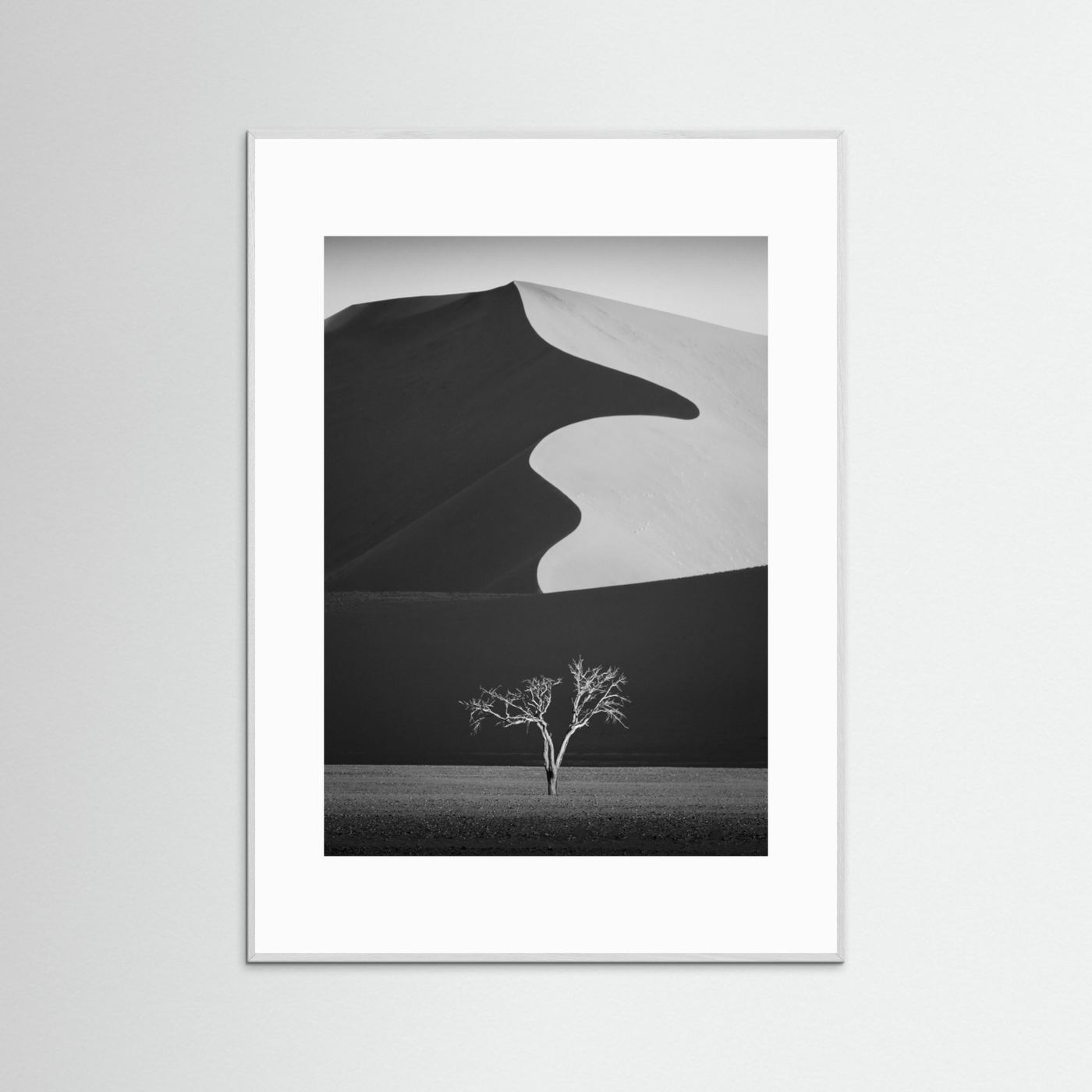 Light & shadow