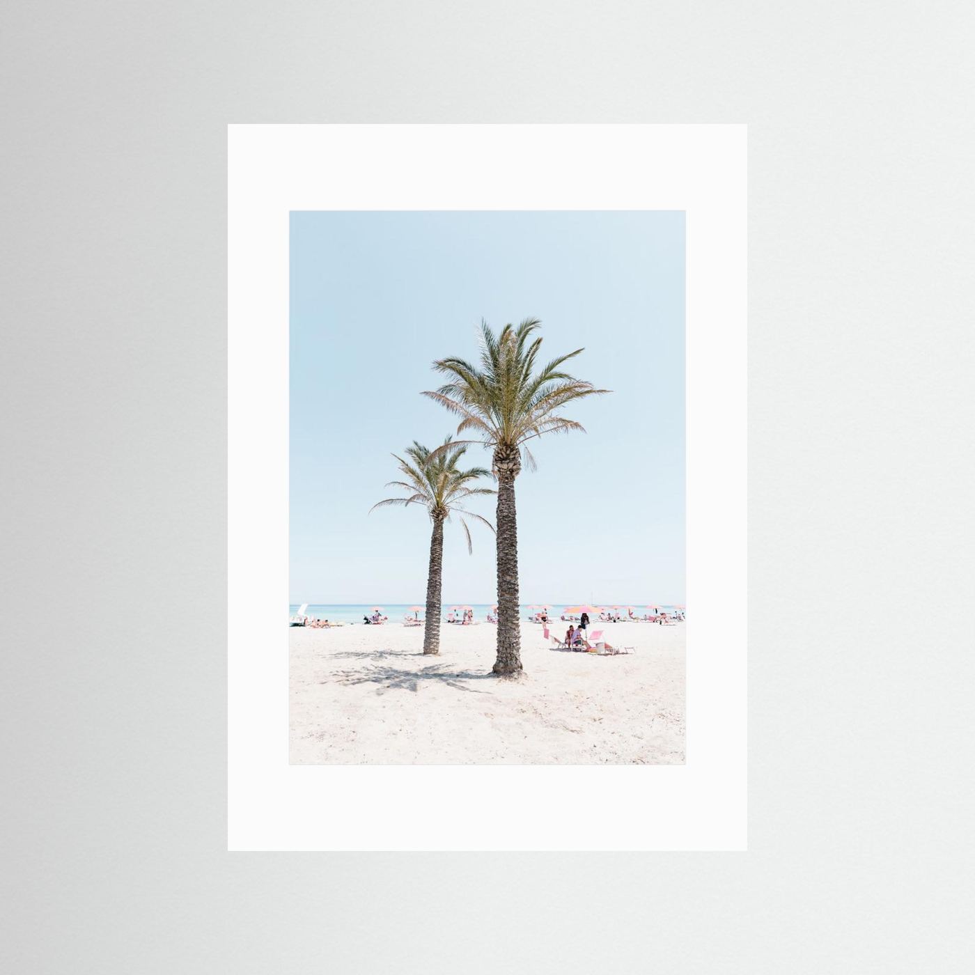 Palm tree at the beach
