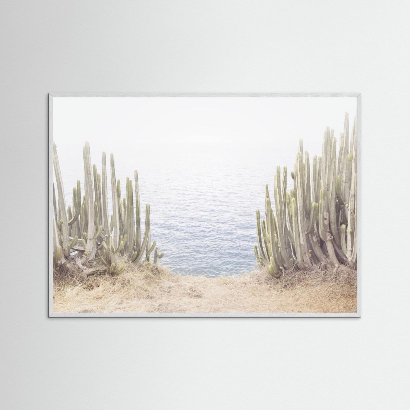 Ocean Cactus