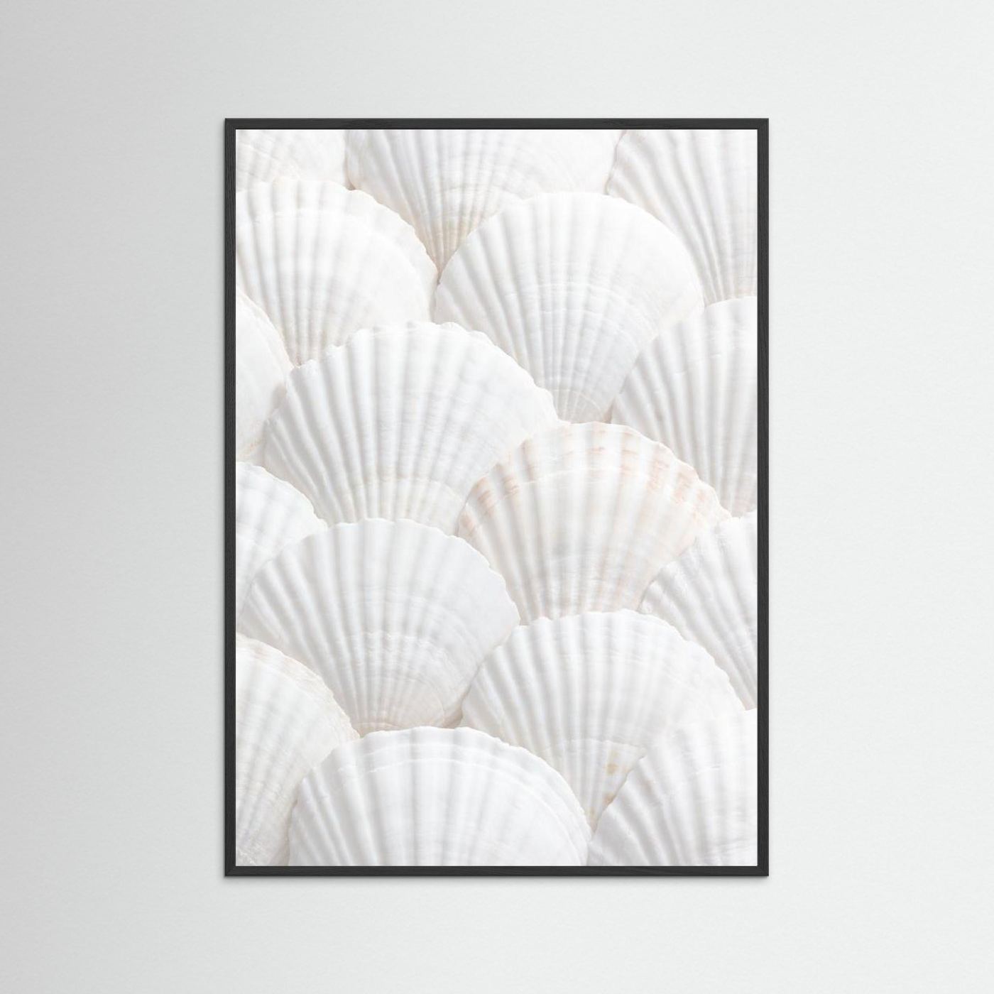 Shells