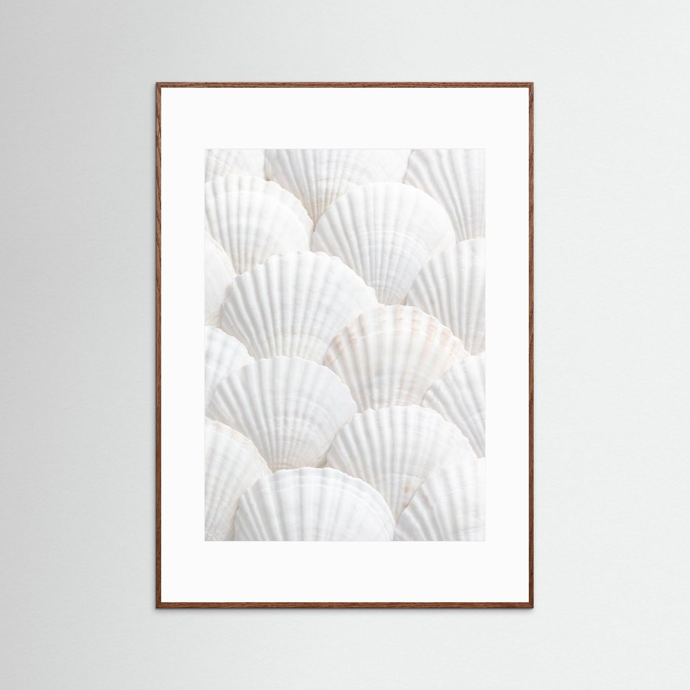 Shells
