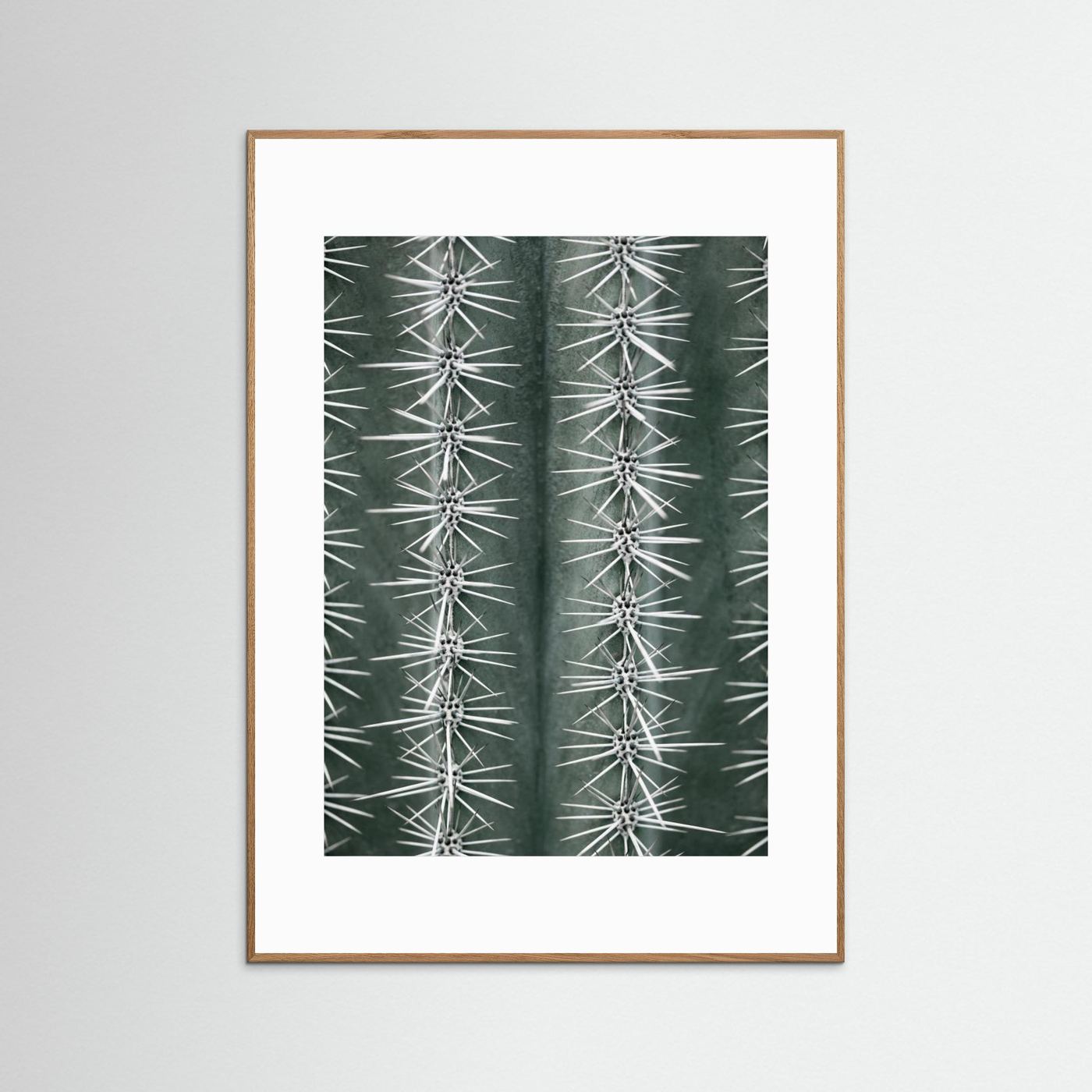 Sharp Cactus Pattern by Pictufy Studio Iii