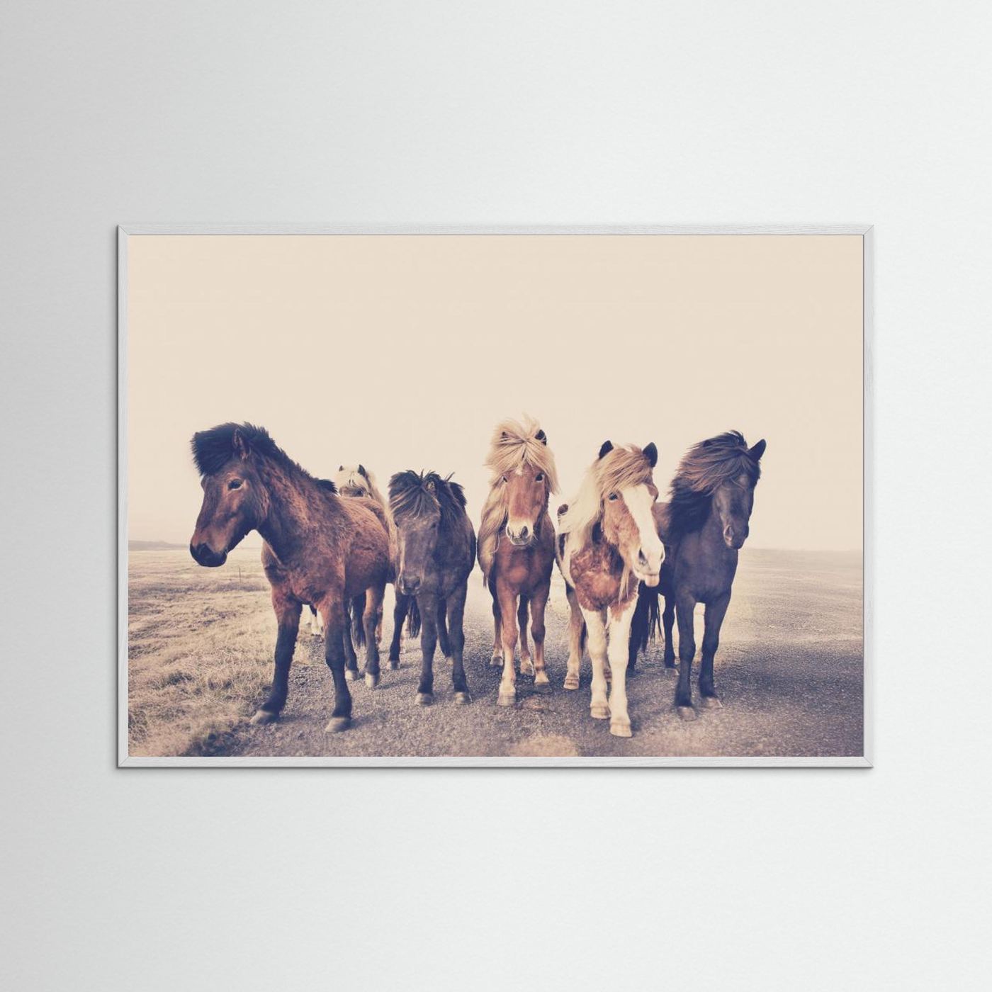 Horses