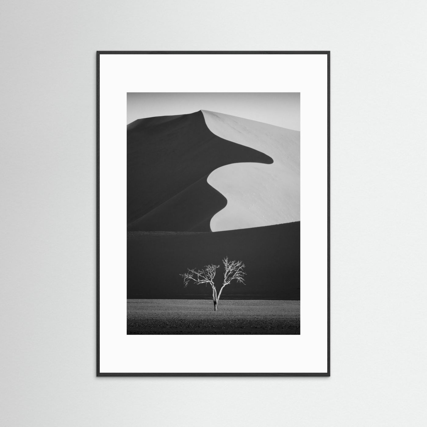 Light & shadow