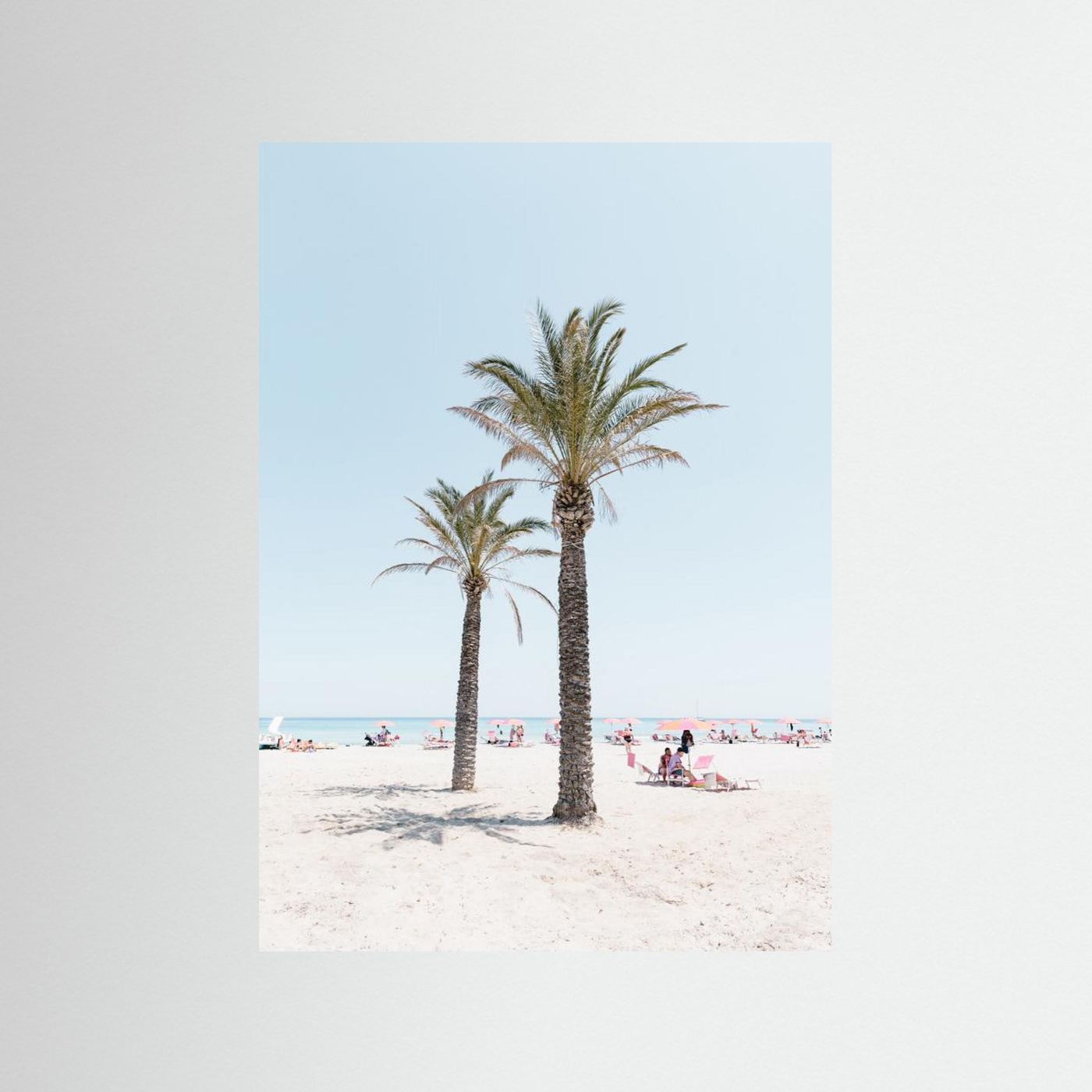 Palm tree at the beach