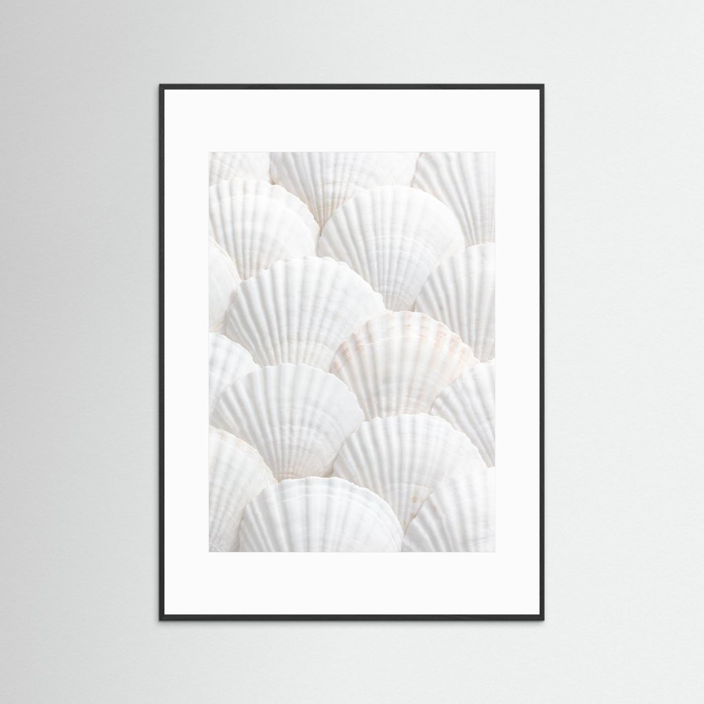 Shells