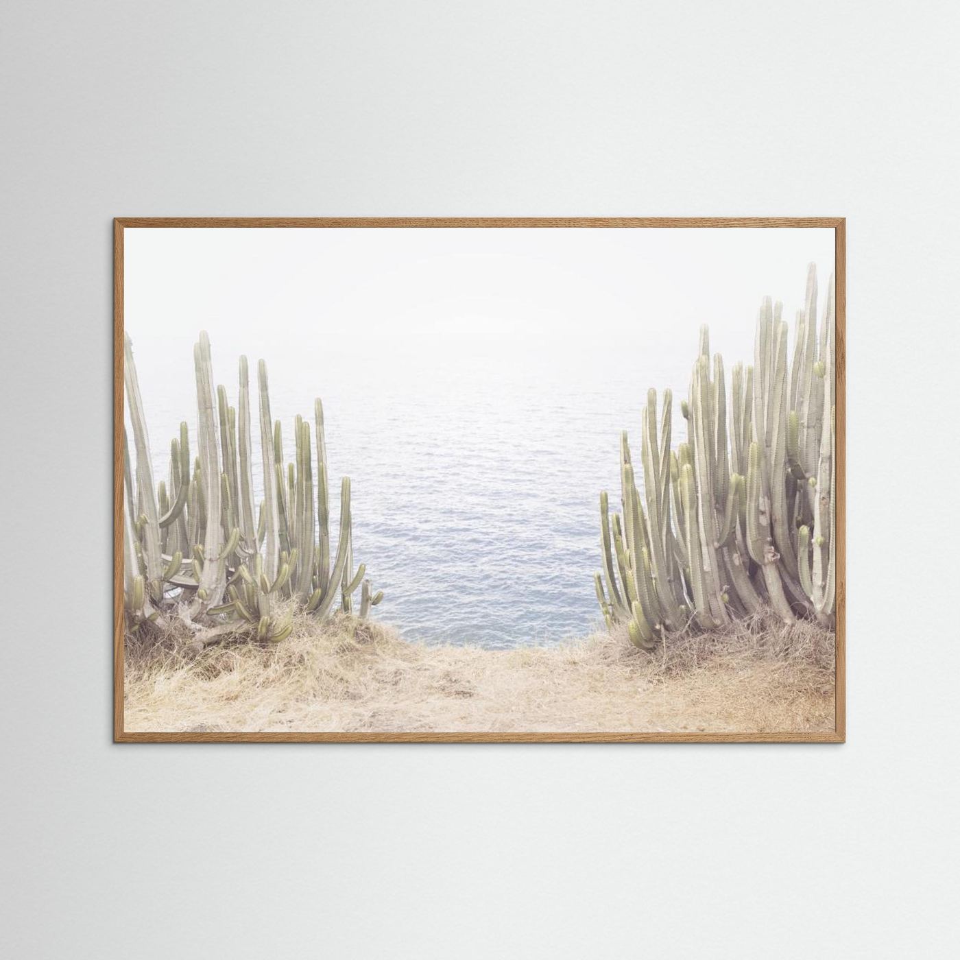 Ocean Cactus