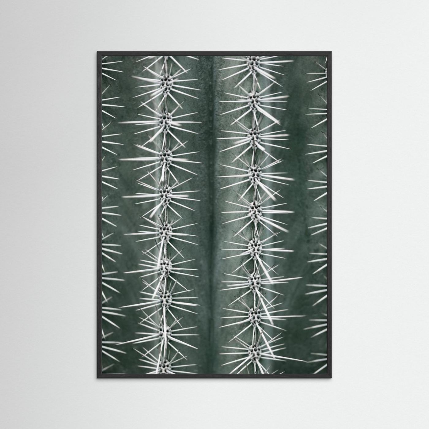 Sharp Cactus Pattern by Pictufy Studio Iii