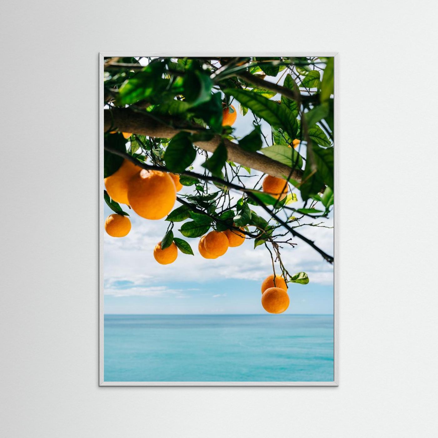 Amalfi Coast Oranges IV