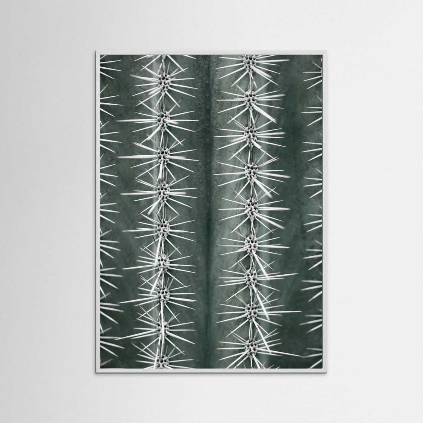 Sharp Cactus Pattern by Pictufy Studio Iii