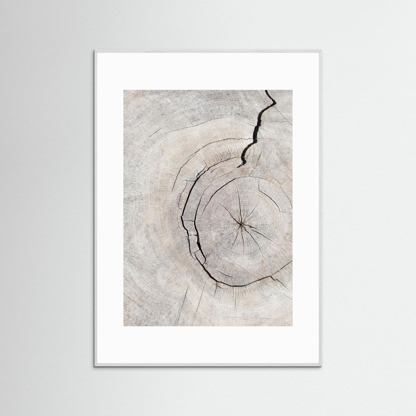 Rings by Pictufy Studio Iii
