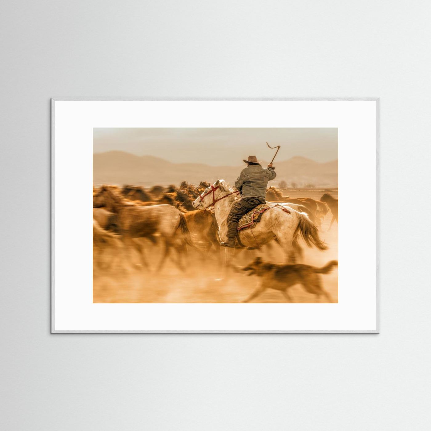 Wild horses (aka Yılkı Atları)