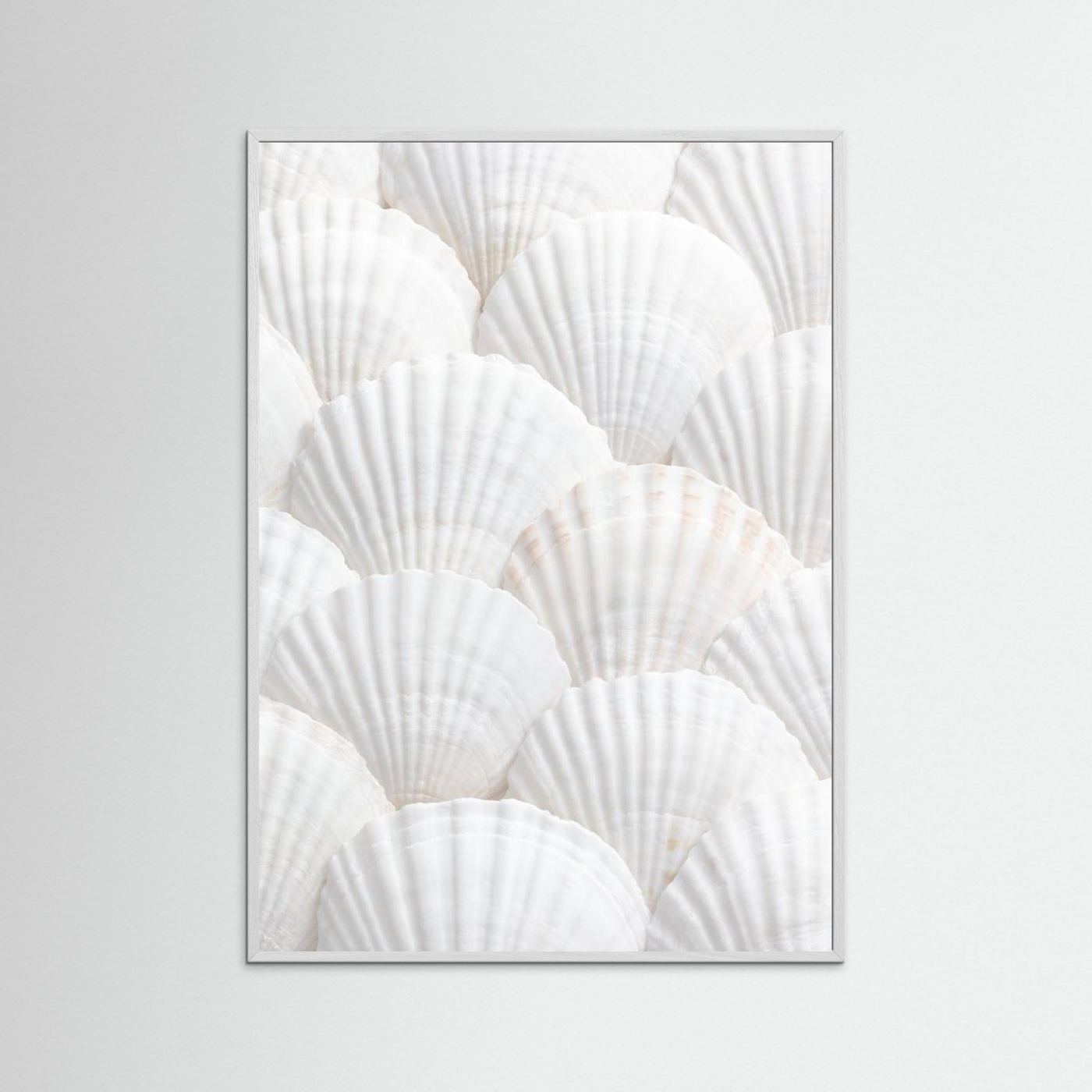 Shells
