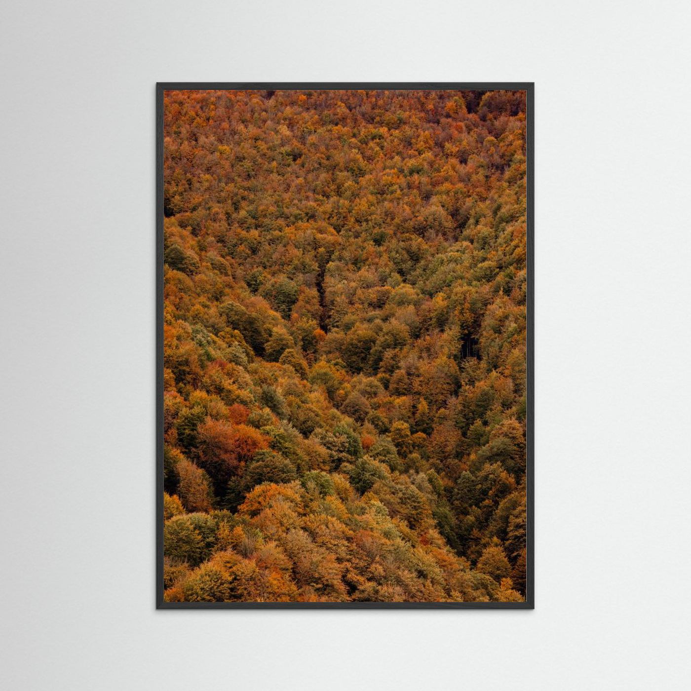 Autumn Forest 03 by Javier Pardina