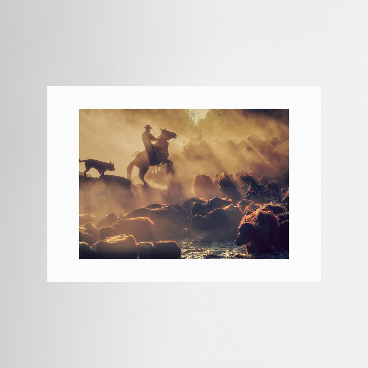 The buffalo shepherd