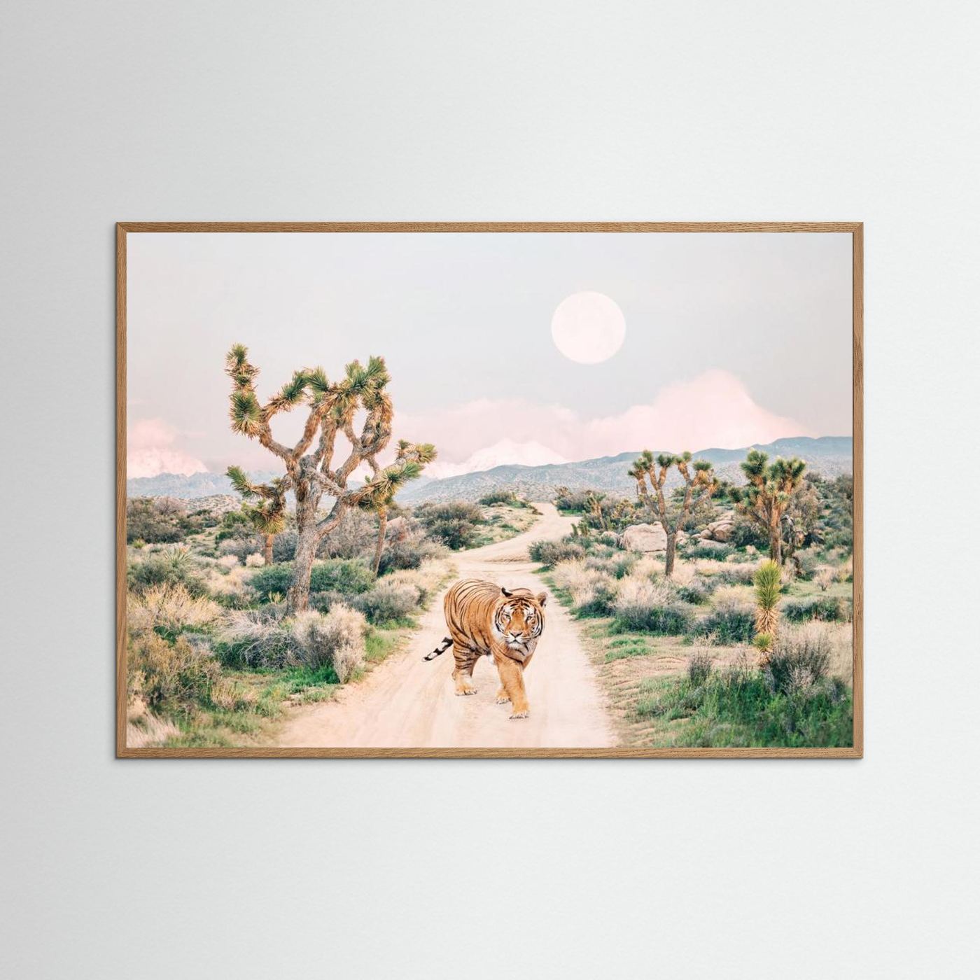 Wandering Tiger