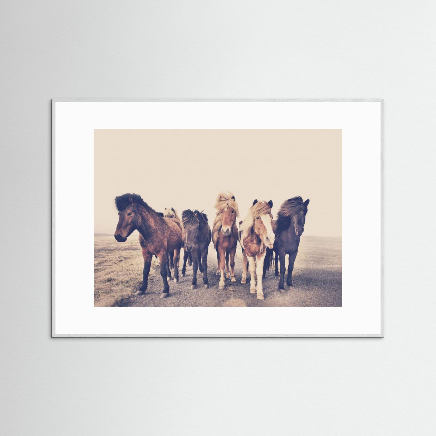 Horses