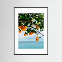 Amalfi Coast Oranges IV