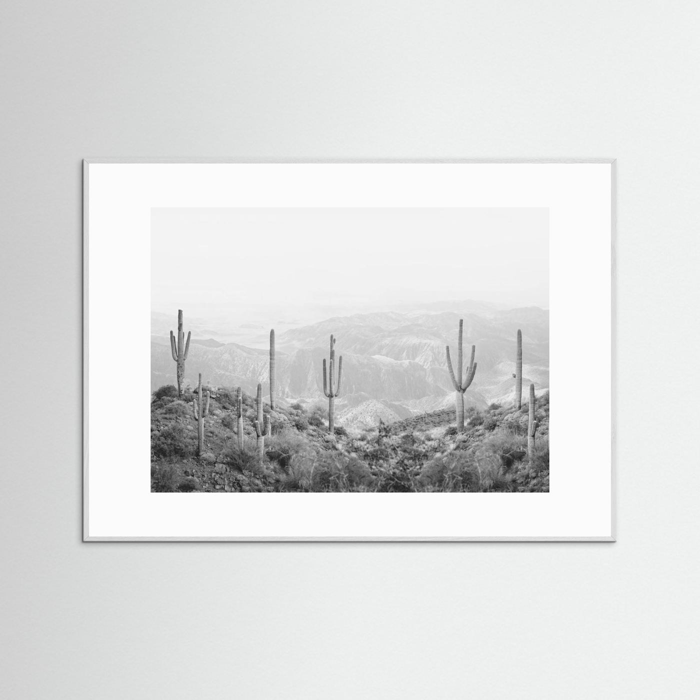 Western Cactus