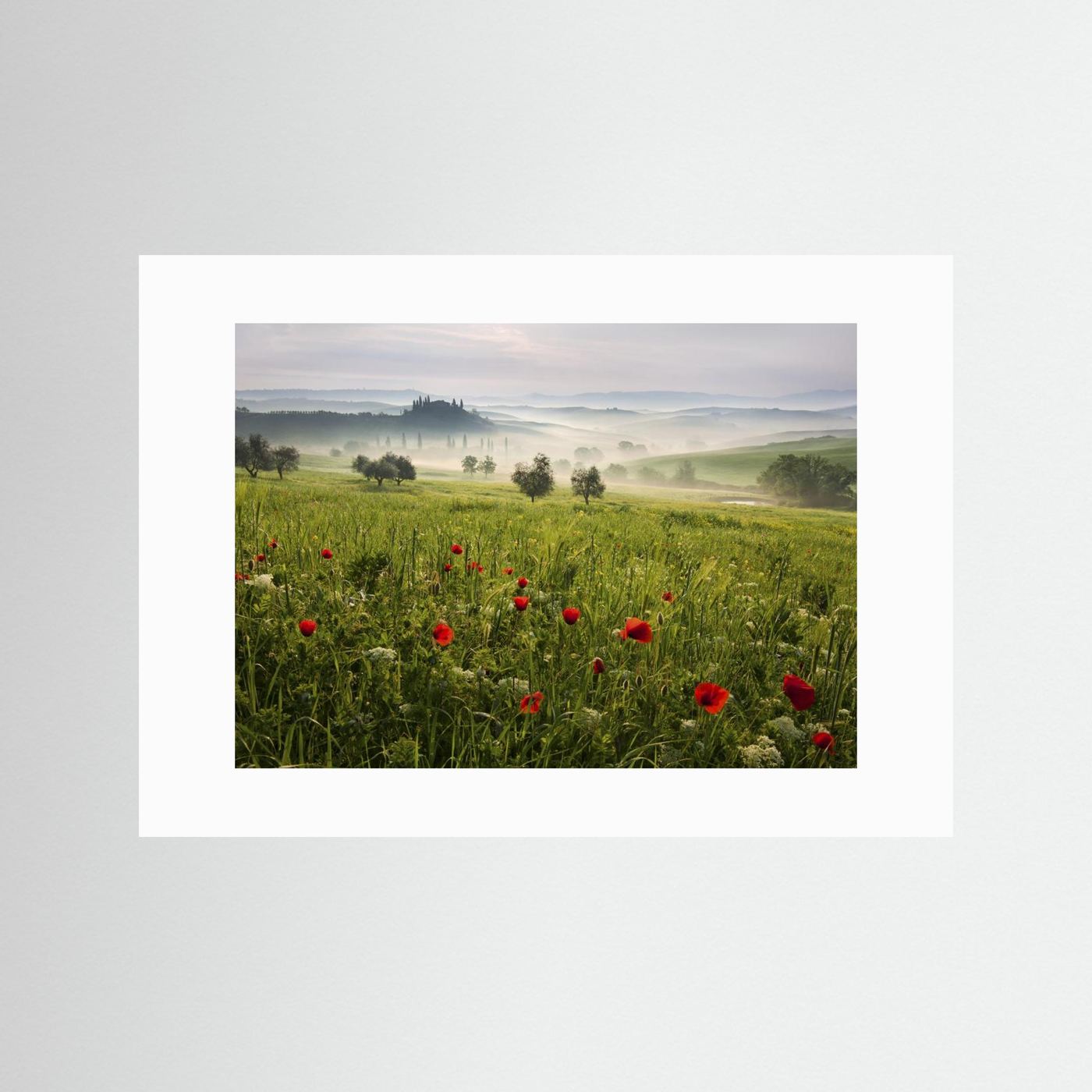 Tuscan spring by Daniel řeřicha