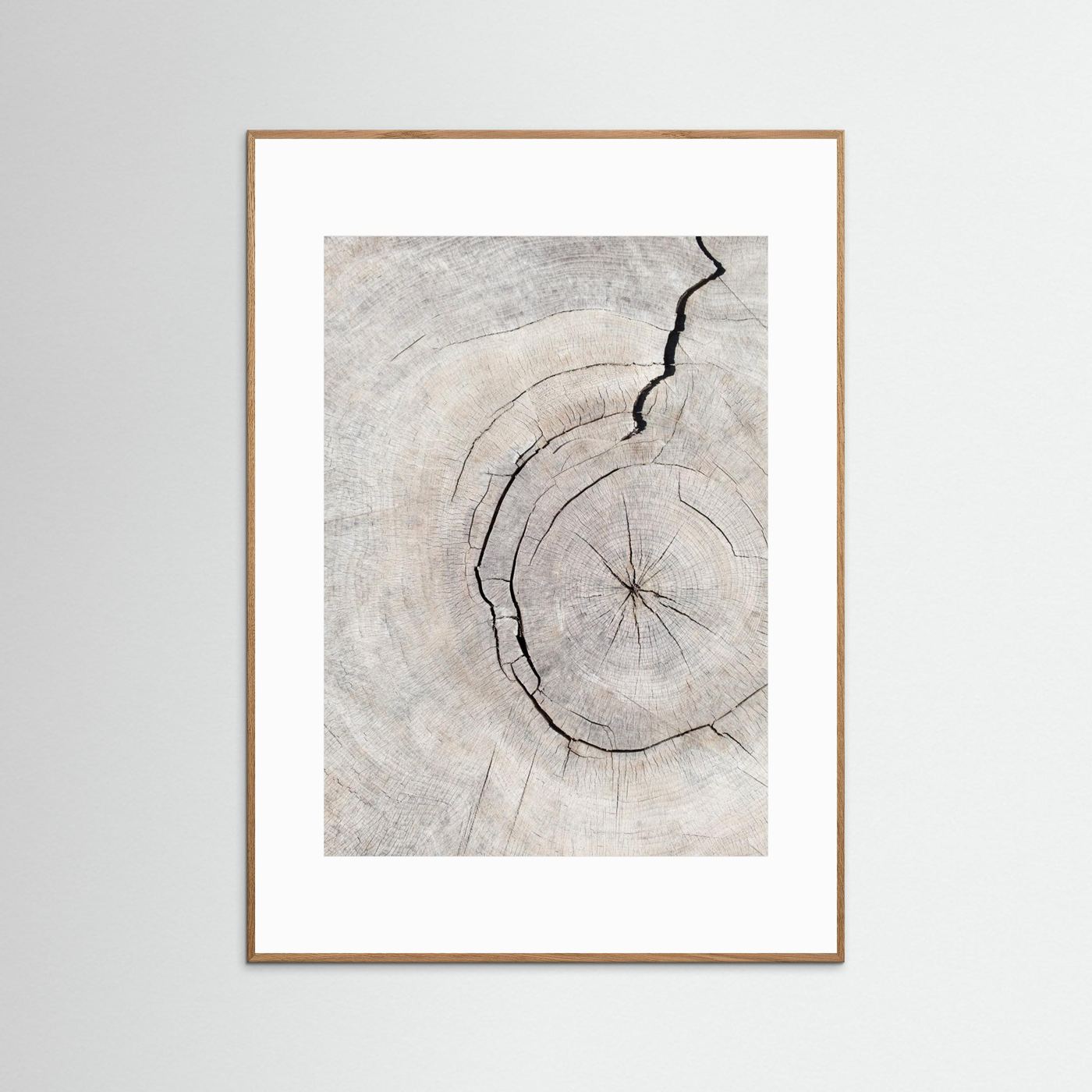Rings by Pictufy Studio Iii