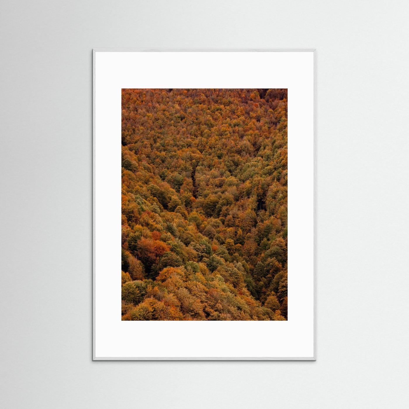 Autumn Forest 03 by Javier Pardina