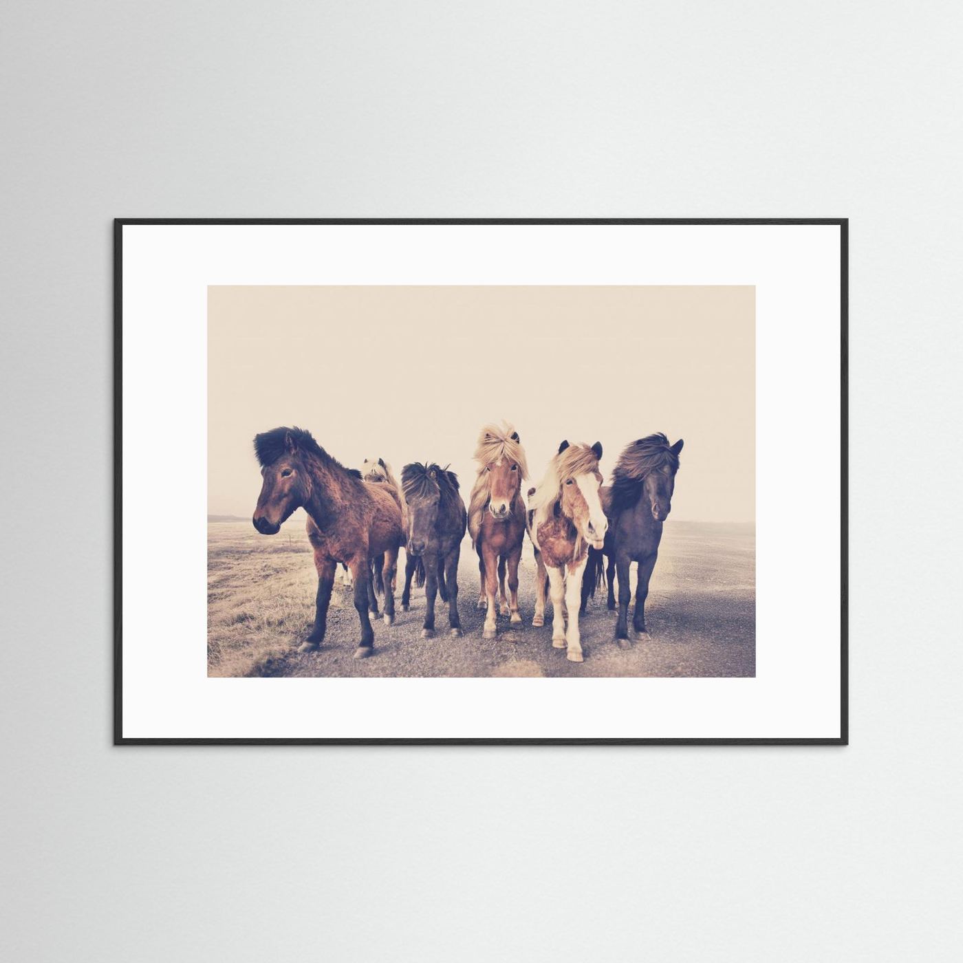 Horses