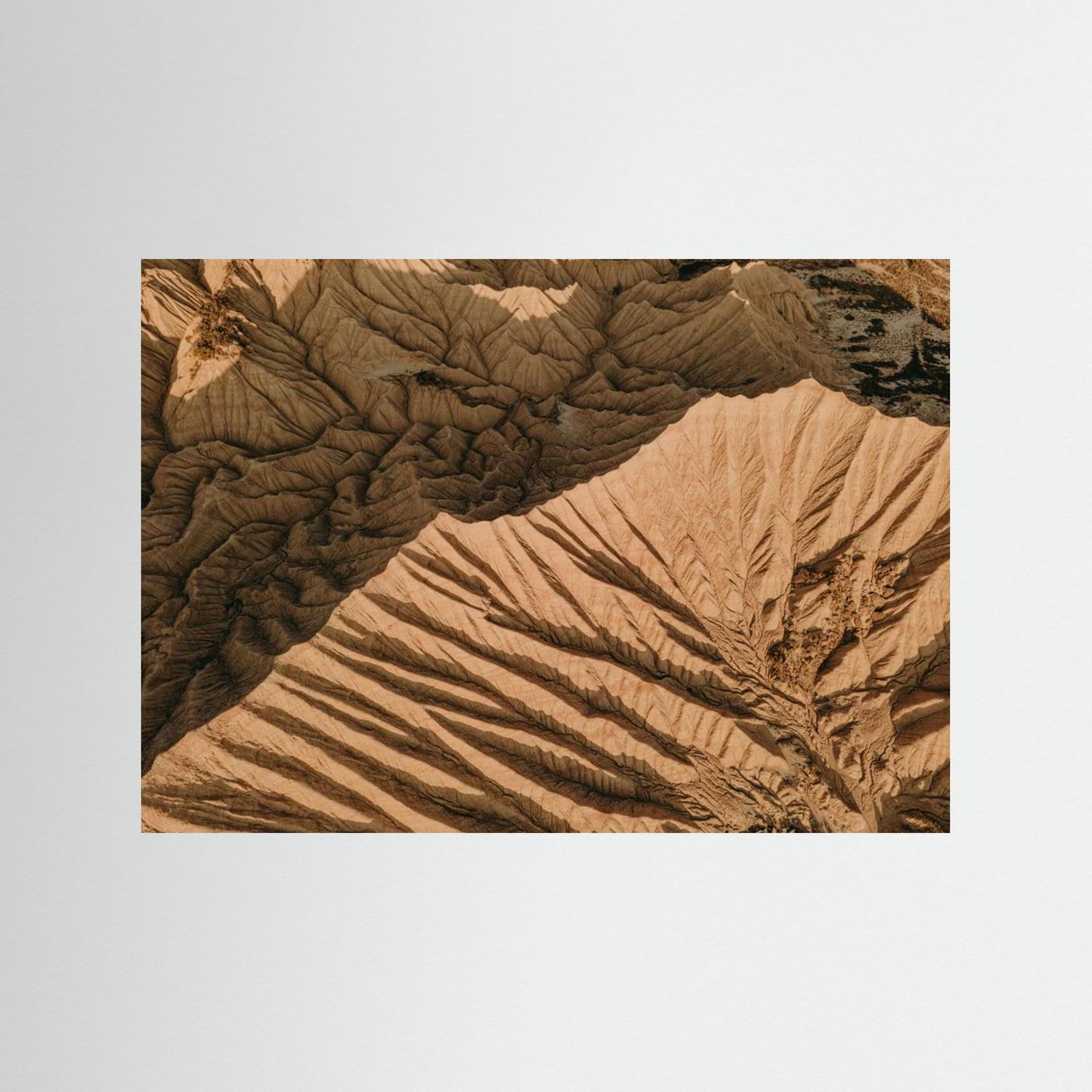 Desert Patterns 01 by Javier Pardina