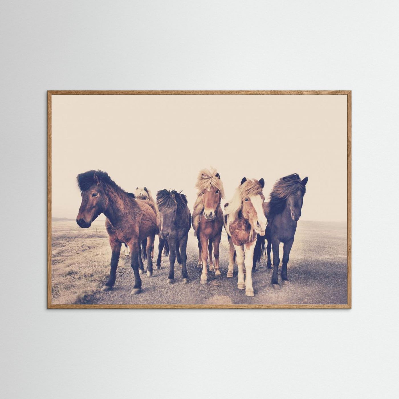 Horses