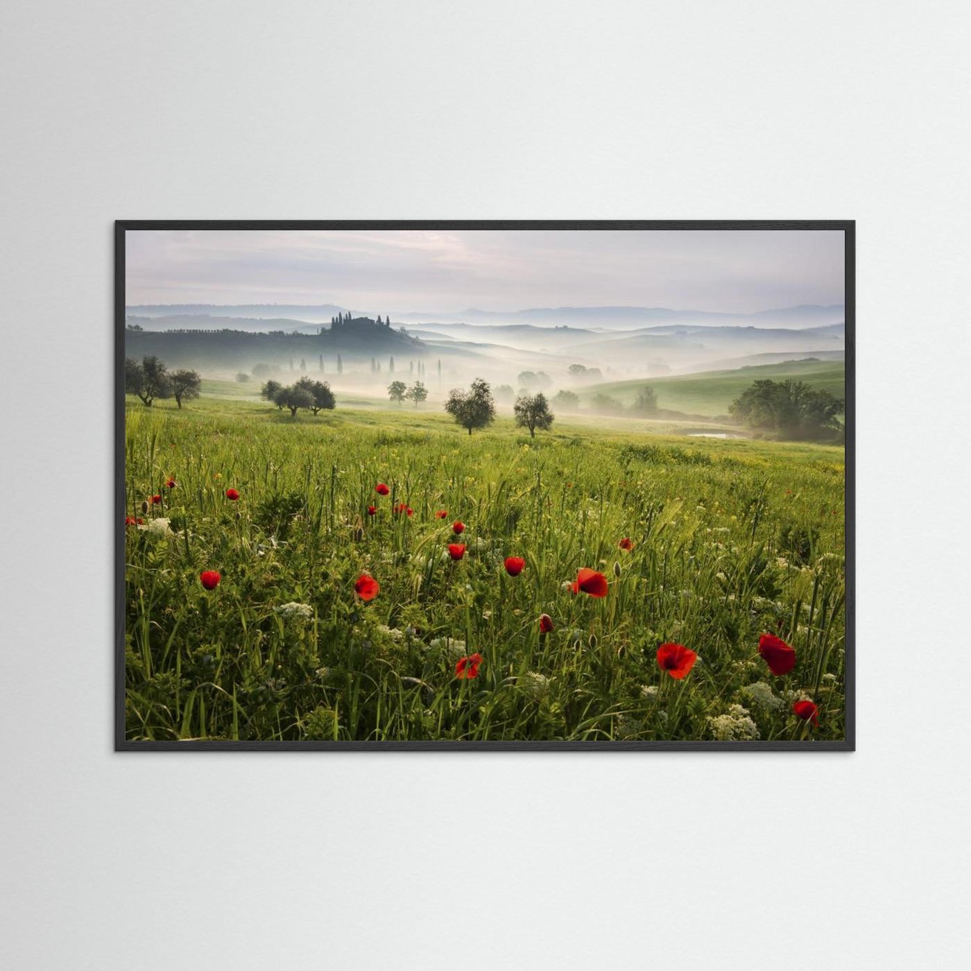 Tuscan spring by Daniel řeřicha