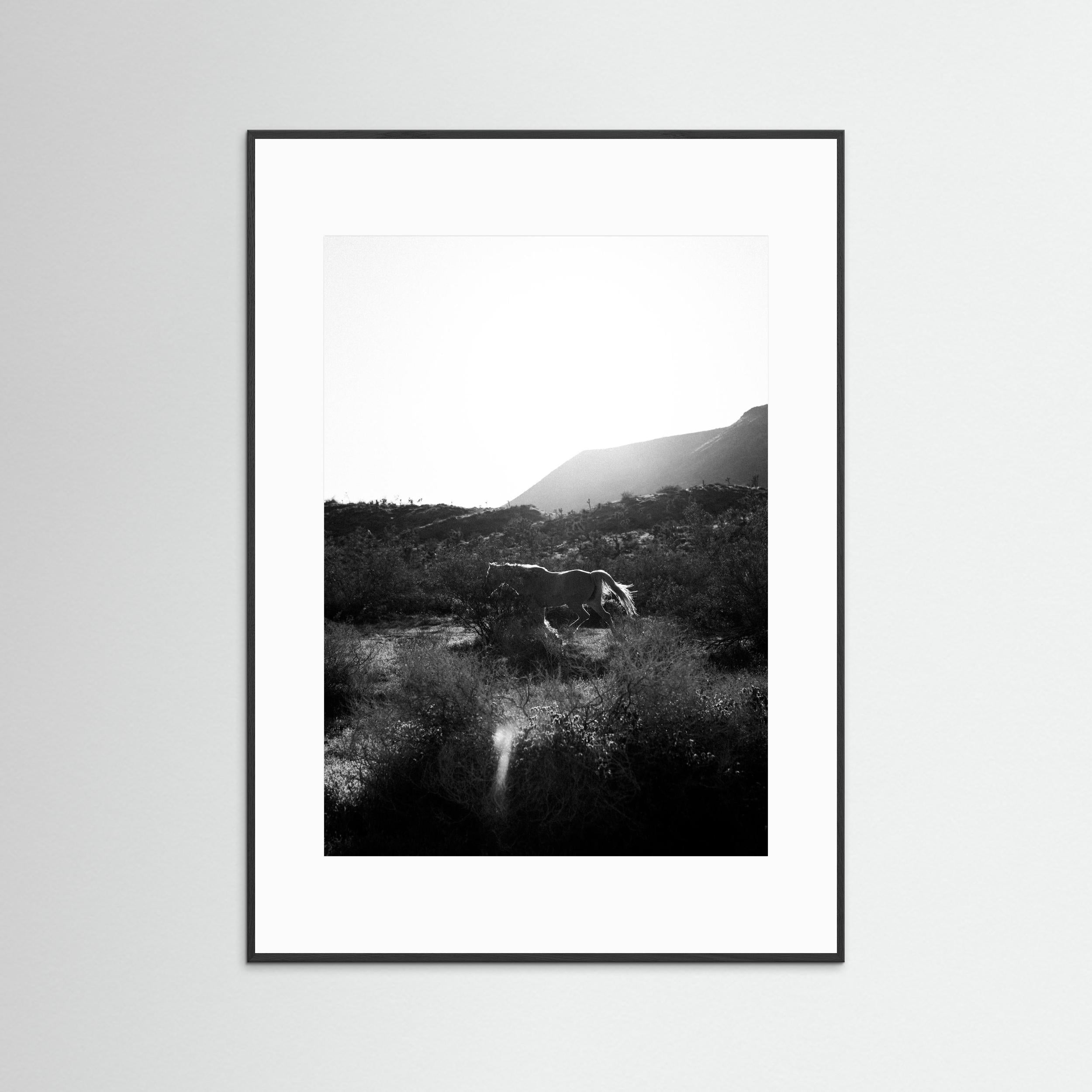 Lonesome Ridge