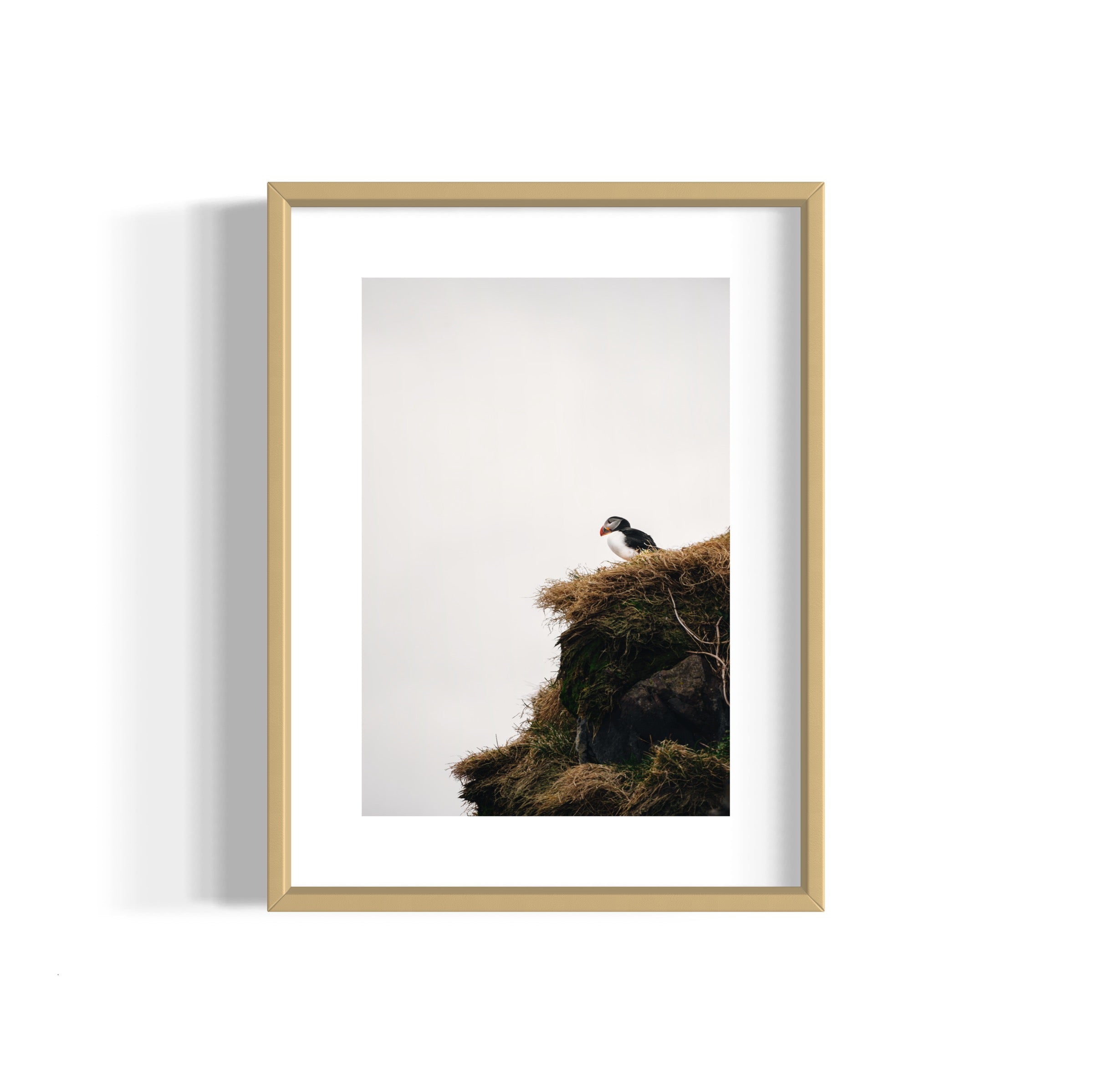 Puffin - Wall of Venus