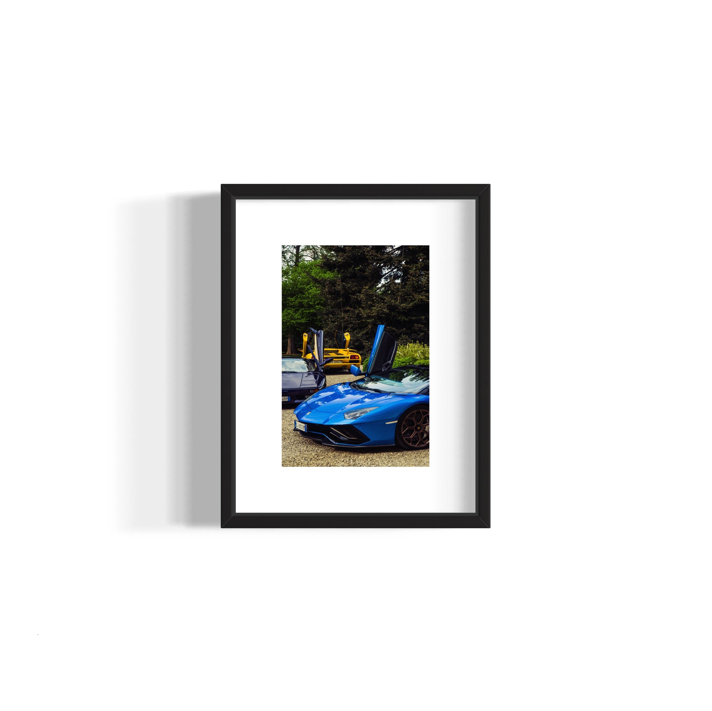 Wings Spread - Wall of Venus