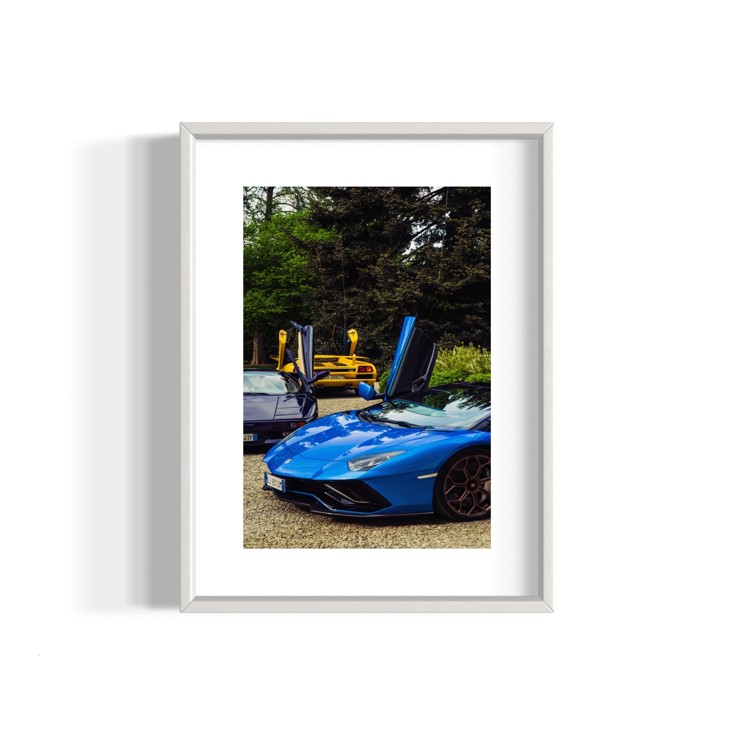 Wings Spread - Wall of Venus