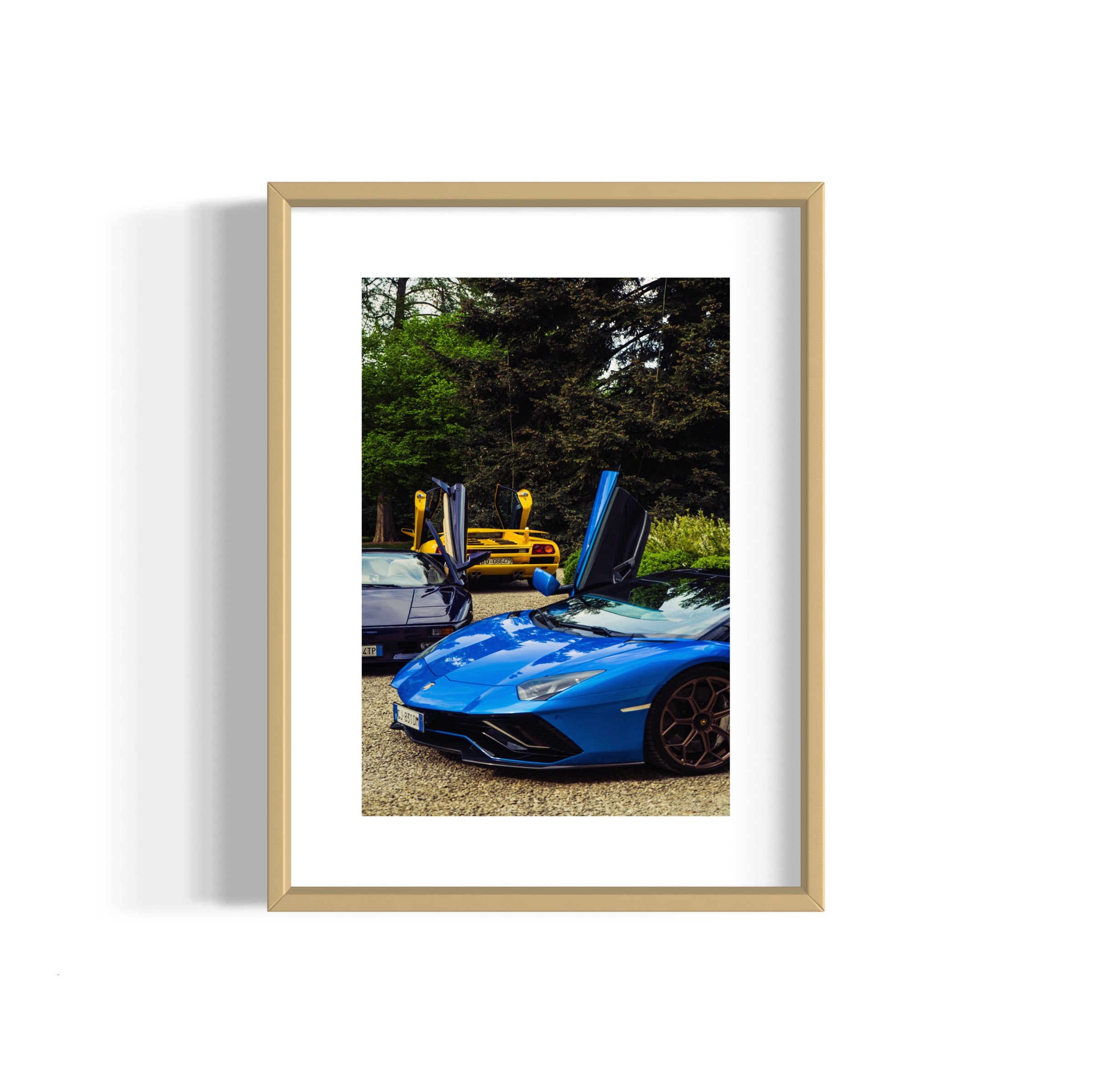 Wings Spread - Wall of Venus