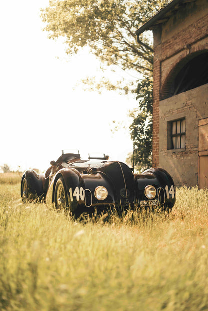 Mille Miglia - Wall of Venus