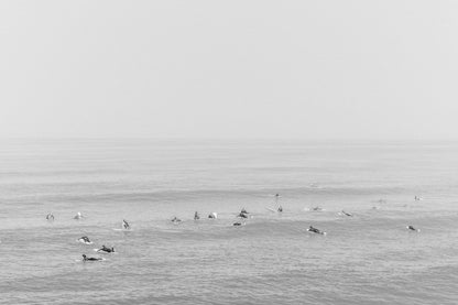 Mission Bay Surfers - Wall of Venus