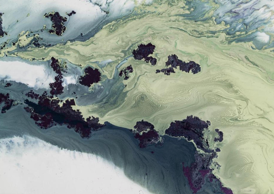 Untouched Estuaries