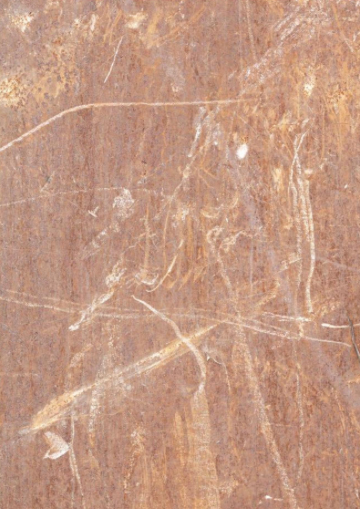 Vein