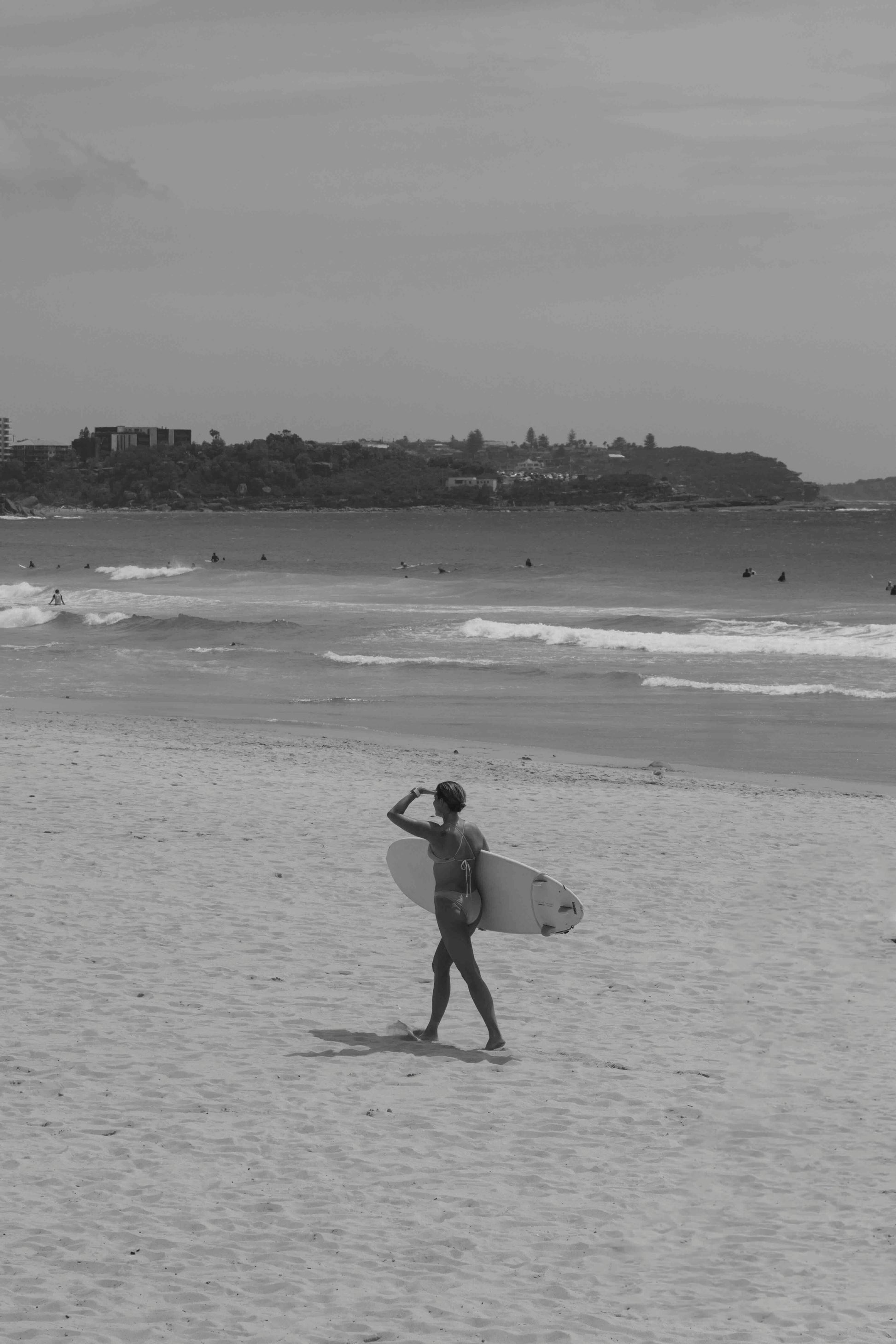 Searching for Surf - Wall of Venus