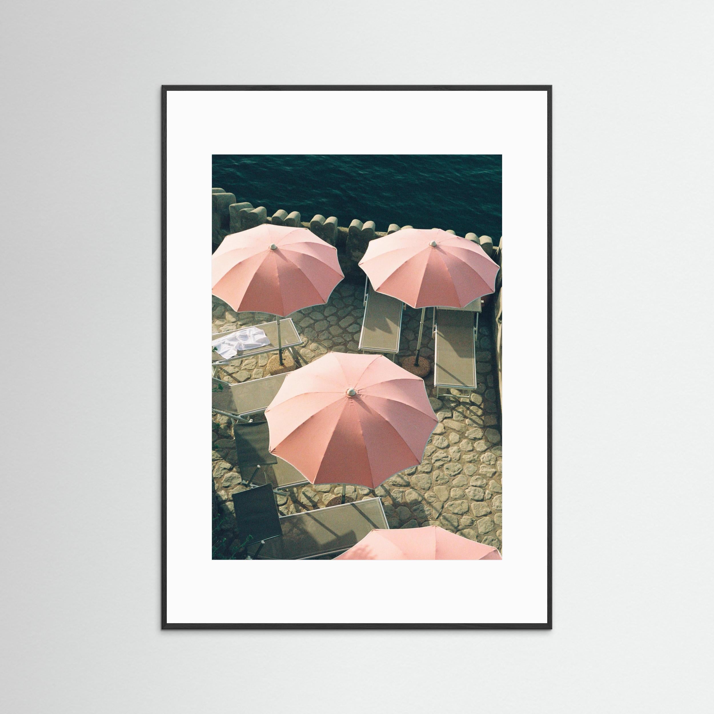 Italian Flamingos