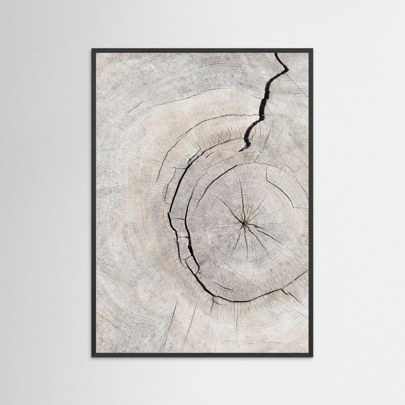 Rings by Pictufy Studio Iii