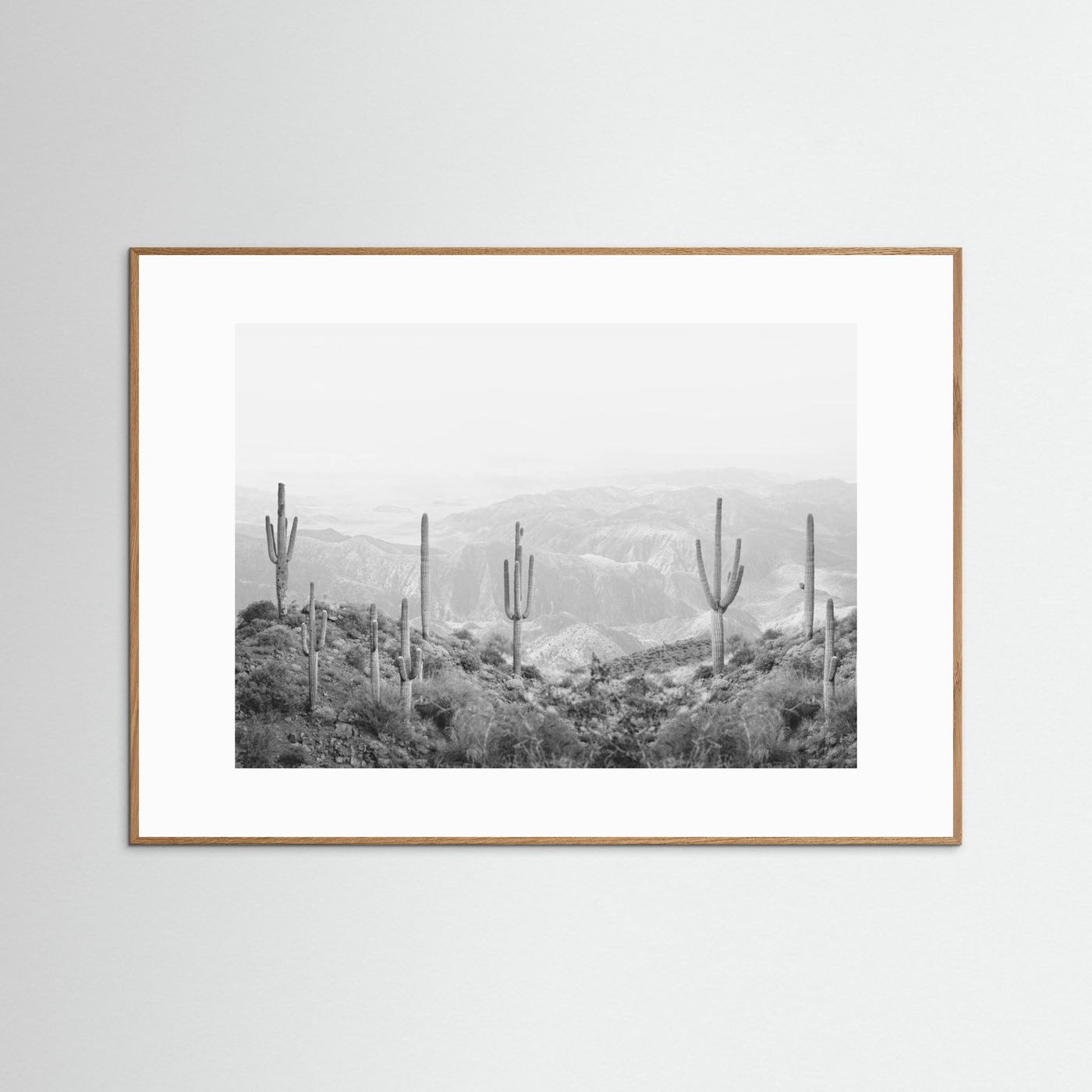 Western Cactus