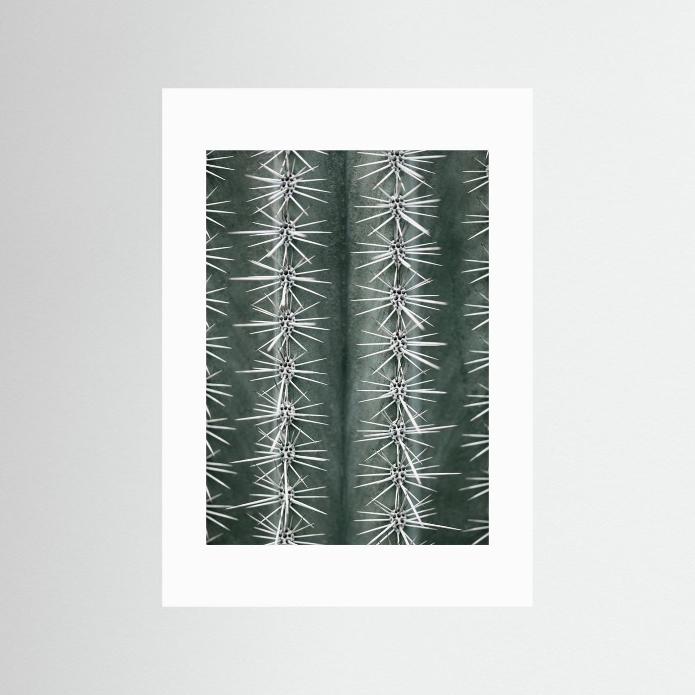 Sharp Cactus Pattern by Pictufy Studio Iii