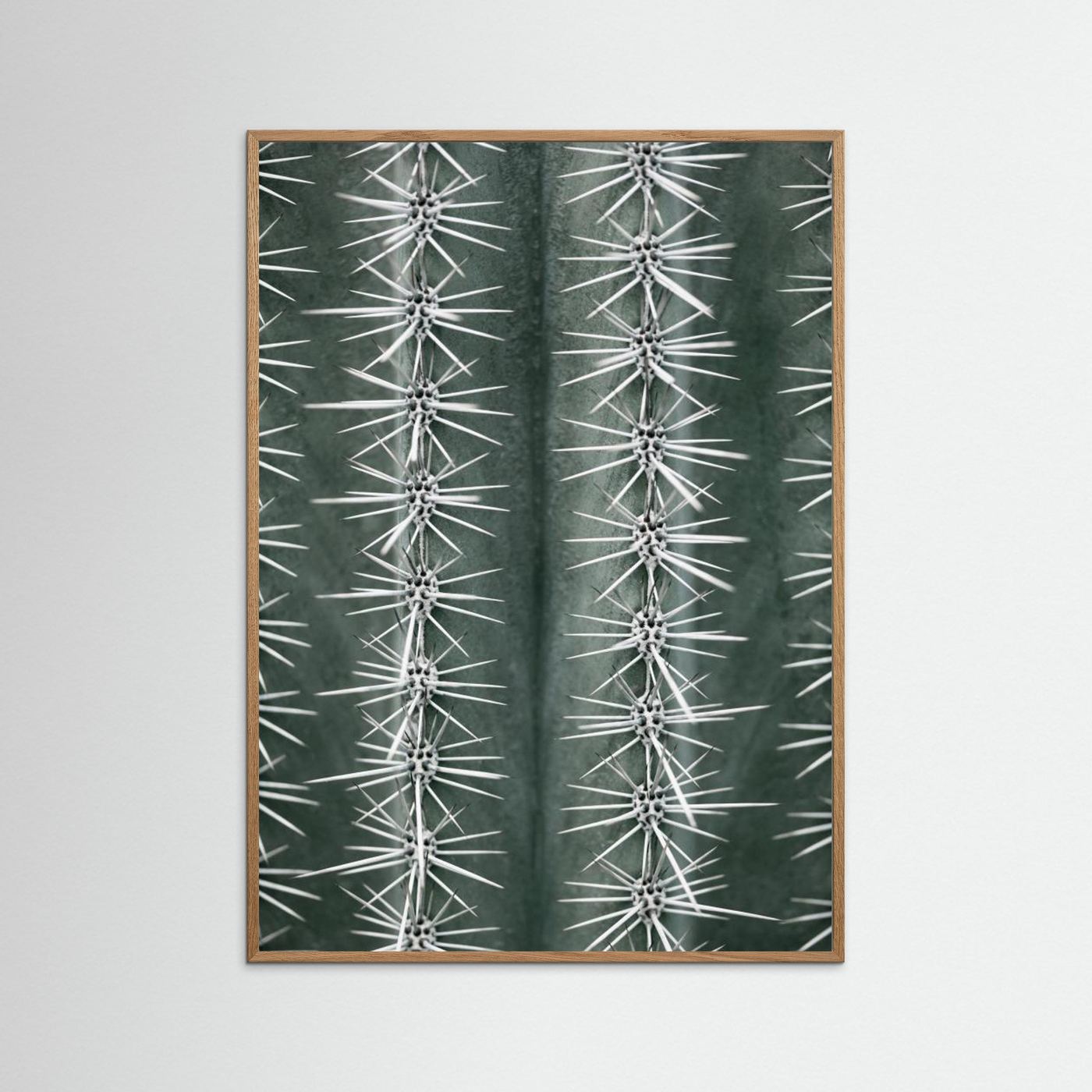 Sharp Cactus Pattern by Pictufy Studio Iii