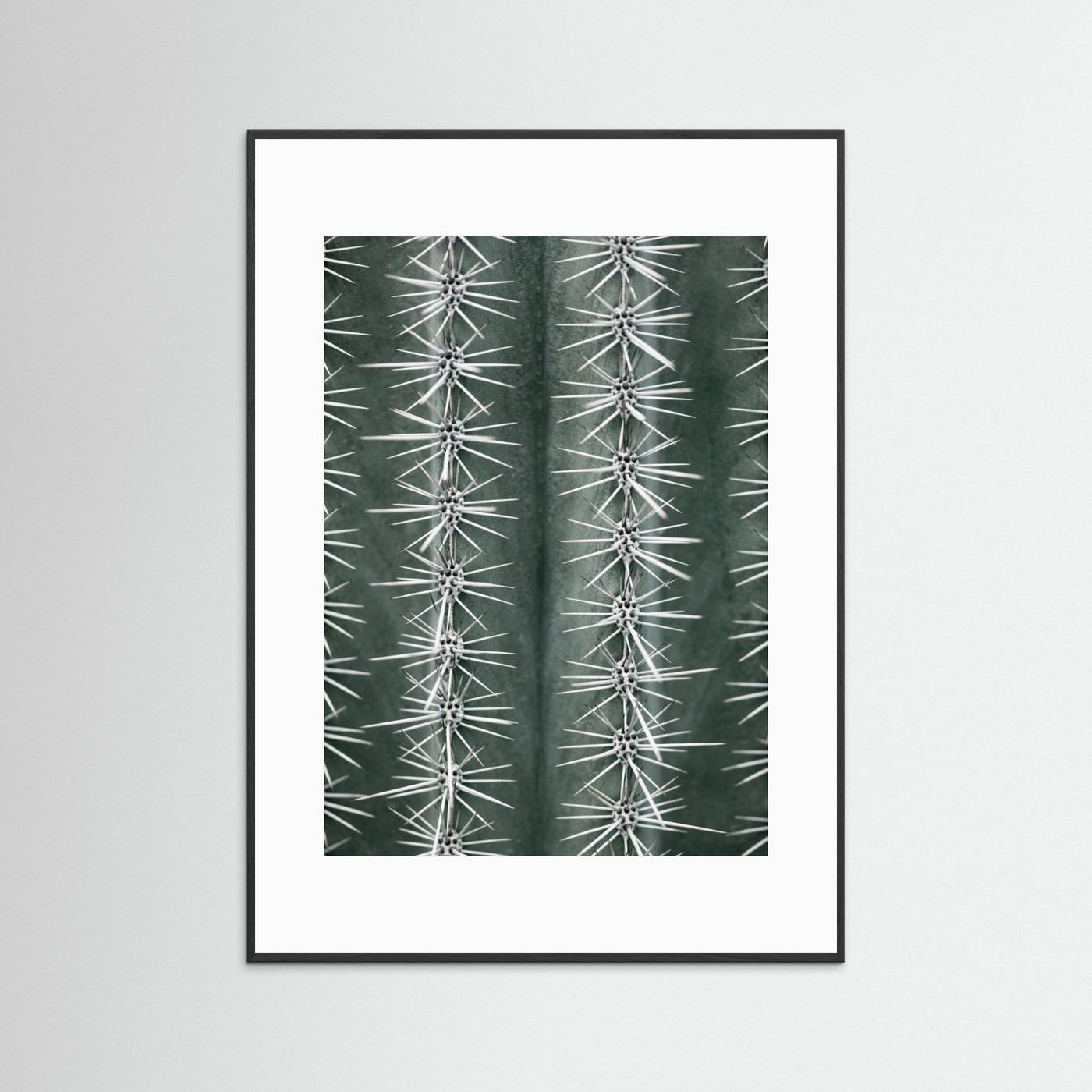 Sharp Cactus Pattern by Pictufy Studio Iii